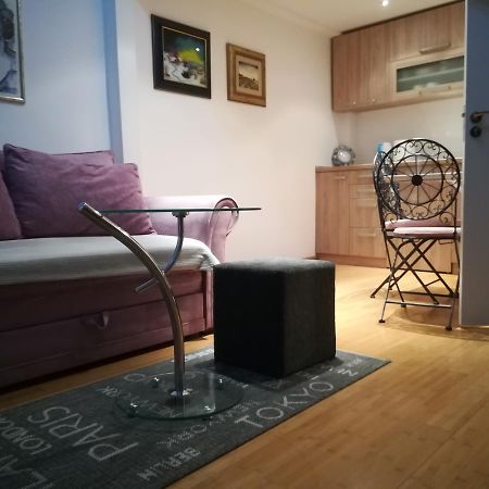 Appartamento Apartman Galerija Novi Sad Esterno foto