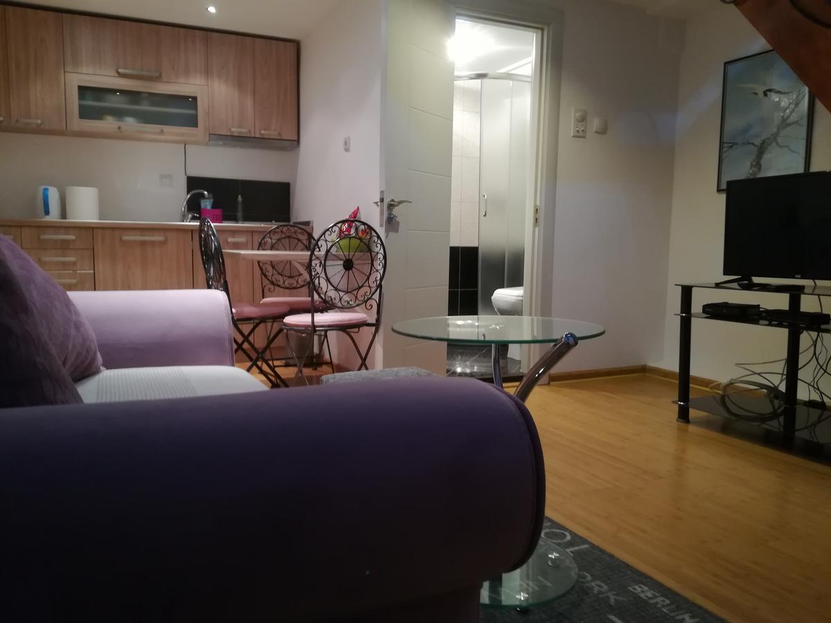 Appartamento Apartman Galerija Novi Sad Esterno foto