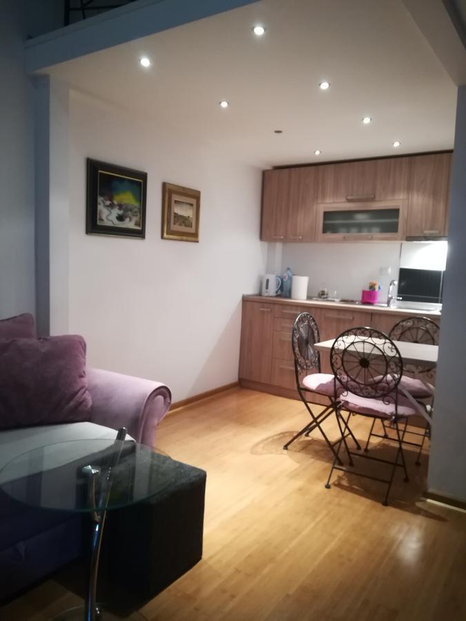 Appartamento Apartman Galerija Novi Sad Esterno foto