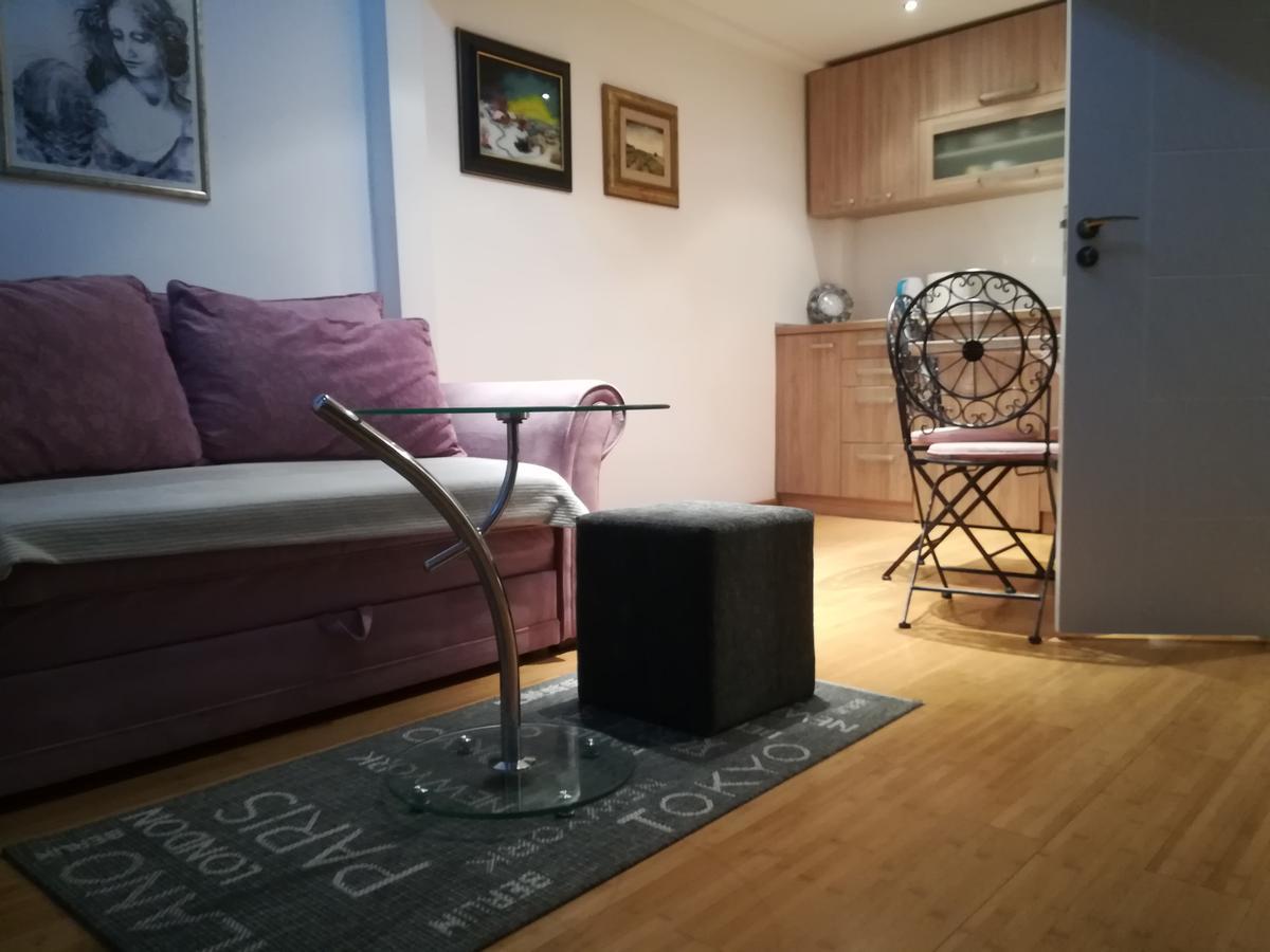 Apartman Galerija Novi Sad Esterno foto